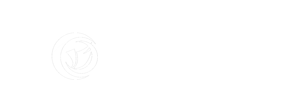 ZF Capital
